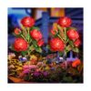 Paquete de 2 luces solares al aire libre decorativas_1