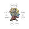 AQUARIUS Grateful Dead Puzzle 500 piezas Jigsaw Puzzle_5