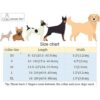 Collar Aring Pet con lazo y pajarita cuello ajustable