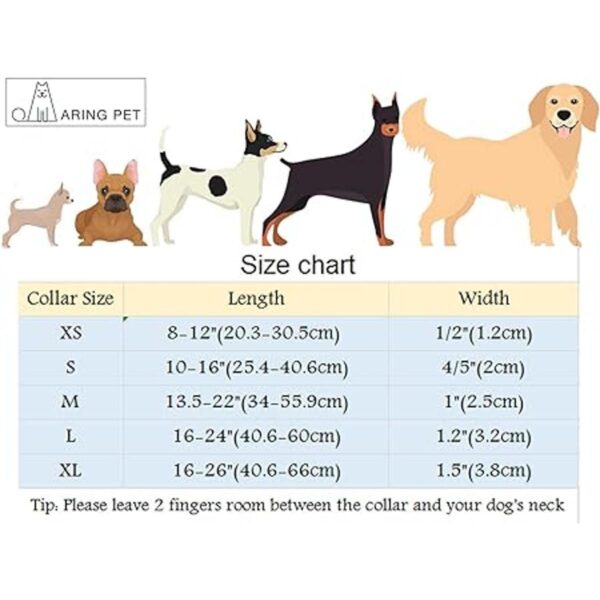 Collar Aring Pet con lazo y pajarita cuello ajustable