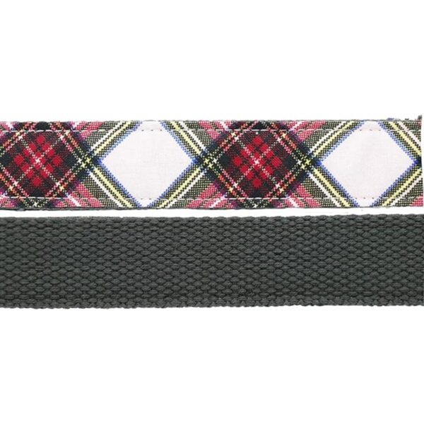 Collar Aring Pet con lazo y pajarita cuello ajustable
