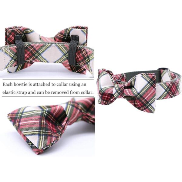 Collar Aring Pet con lazo y pajarita cuello ajustable