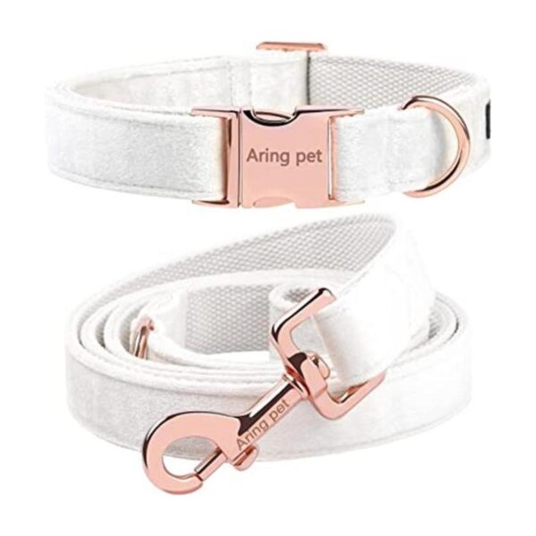 ARING PET Juego de collar y correa para perro collar y_1