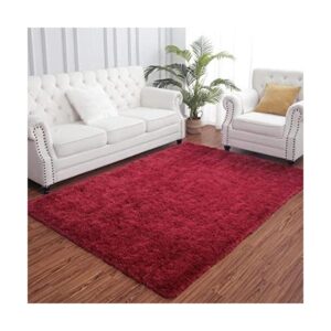 AROGAN Alfombras esponjosas para dormitorio sala de