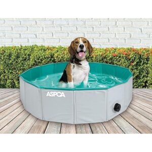 Piscina de perro plegable al aire libre para perros gatos_1