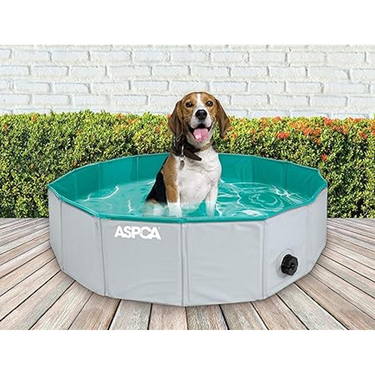 Piscina de perro plegable al aire libre para perros gatos