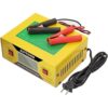 AUTTGINN Cargador de batería de 6812141624 V_2