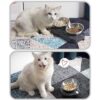 AYADA Cuenco elevado de comida para gatos de acero