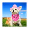 Yewong Conjunto de sombrero de vaquero con purpurina_3