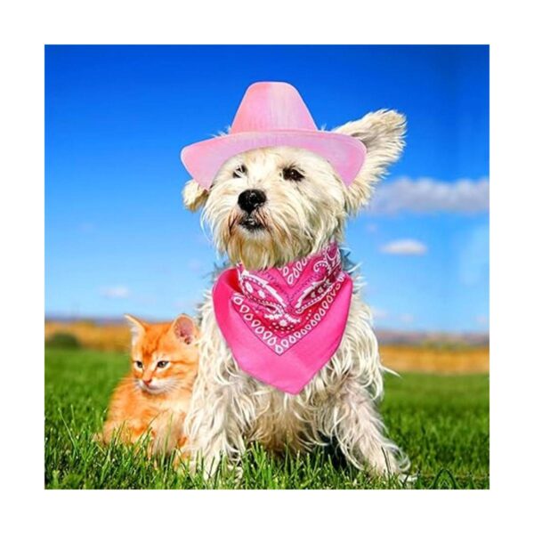 Yewong Conjunto de sombrero de vaquero con purpurina_3