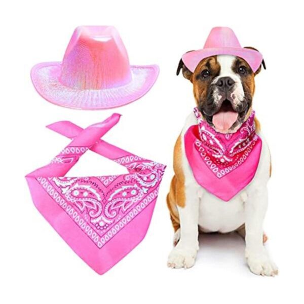 Yewong Conjunto de sombrero de vaquero con purpurina_1