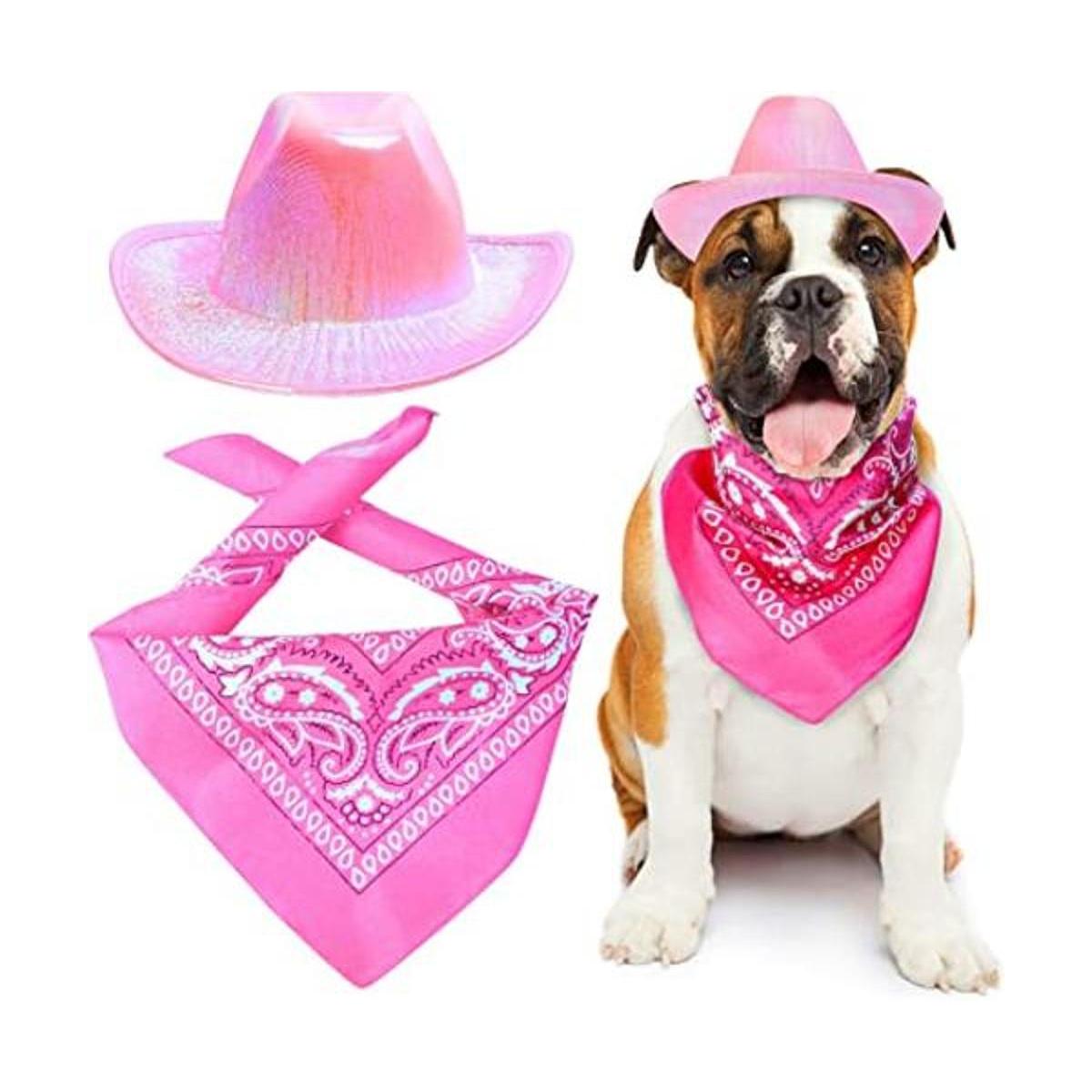 Yewong Conjunto de sombrero de vaquero con purpurina