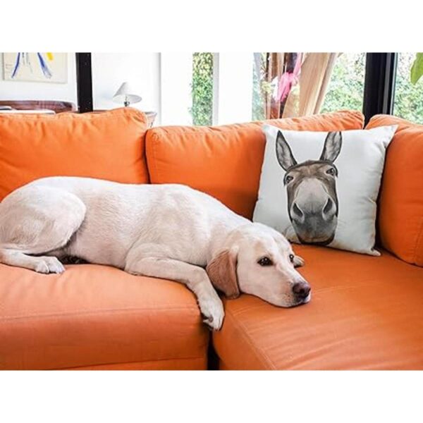 Farmhouse Donkey Fundas de almohada decorativas de 18 x