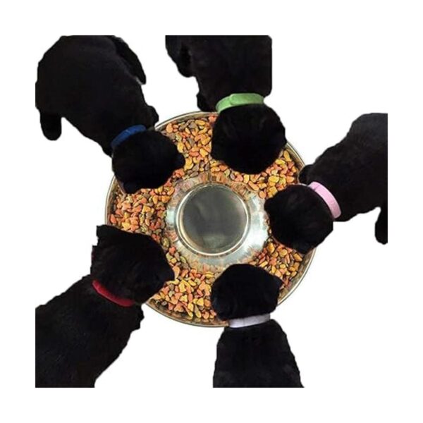 Yudansi Cuencos de destete de cachorros de acero