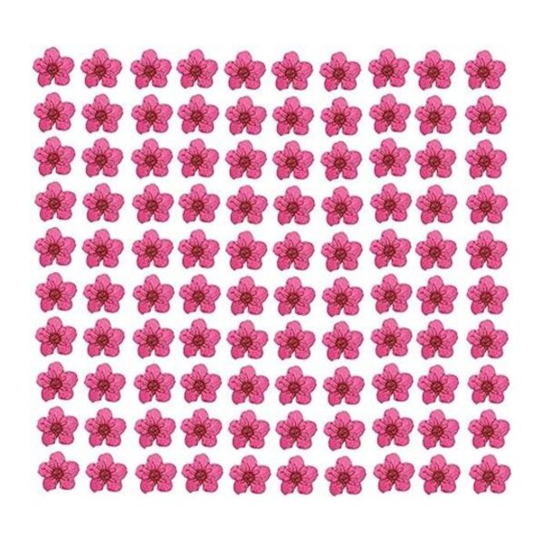 YUNZHI Flor prensada para resina pequeña de ciruela_1