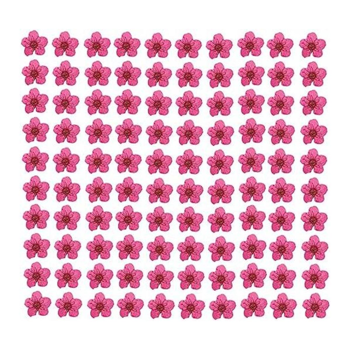 YUNZHI Flor prensada para resina pequeña de ciruela