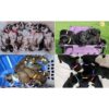 YOY Juego de 12 collares de nailon suave para cachorros