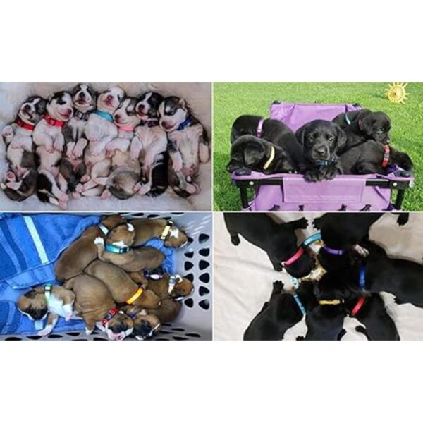 YOY Juego de 12 collares de nailon suave para cachorros