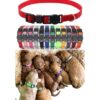 YOY Juego de 12 collares de nailon suave para cachorros