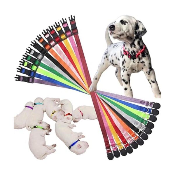YOY Juego de 12 collares de nailon suave para cachorros