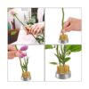 YOUEON 4 piezas de ranas redondas de flores herramientas_6