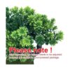 yoerm Pequeño árbol de bonsái artificial para decoración_5