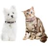 YMTECH Collar de gato con campana Collar de moda para