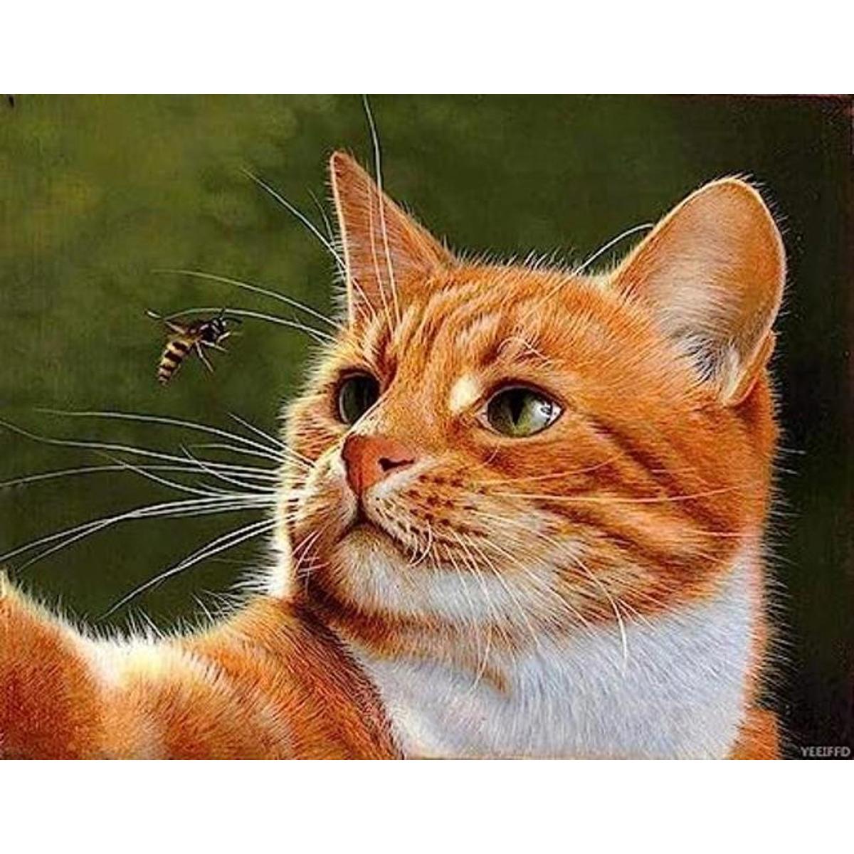 Kits de pintura de diamantes para adultos niños gato con