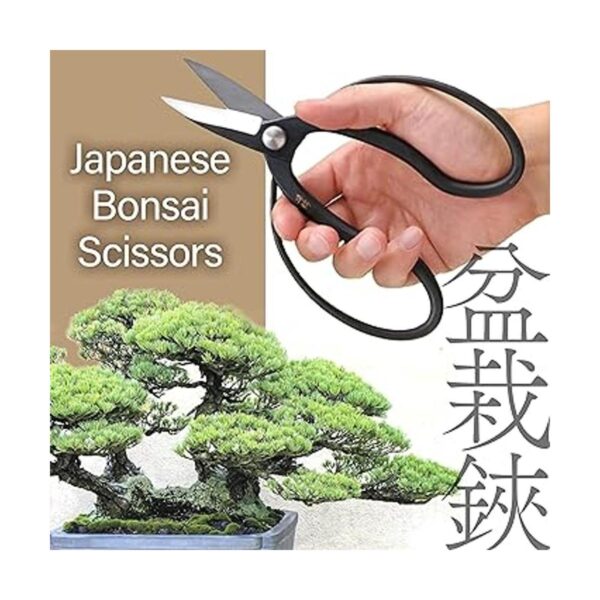 Tijeras japonesas Suiryu bonsái Tijeras de podar Hasami