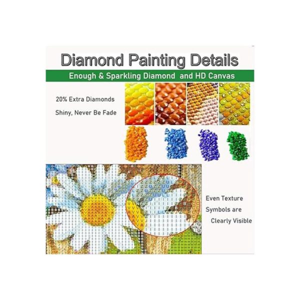 Kits de pintura de diamantes 5D para adultos bricolaje_5