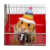 4 piezas de mini animales pequeños de punto a mano con