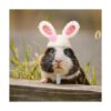 4 piezas de mini animales pequeños de punto a mano con