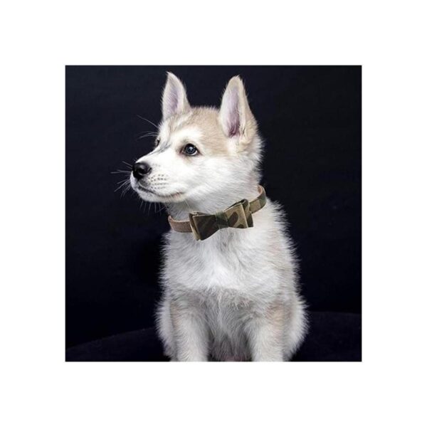 Juego de 3 bandanas para perros y correas a cuadros