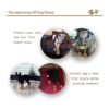 XSYG Botas para perro zapatos impermeables para perros