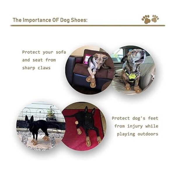 XSYG Botas para perro zapatos impermeables para perros