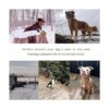 XSYG Botas para perro zapatos impermeables para perros