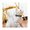 XPangle Breakaway Collares de gato con campana juego de