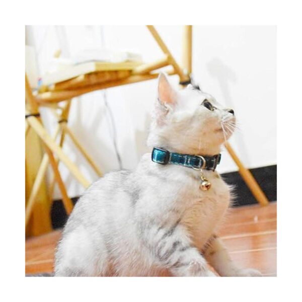 XPangle Breakaway Collares de gato con campana juego de