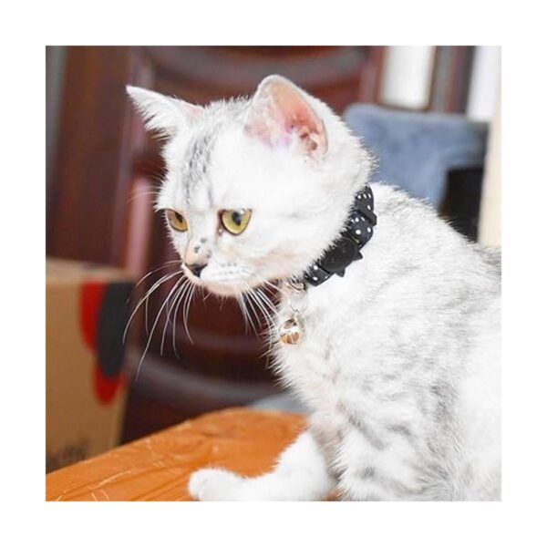 XPangle Breakaway Collares de gato con campana juego de