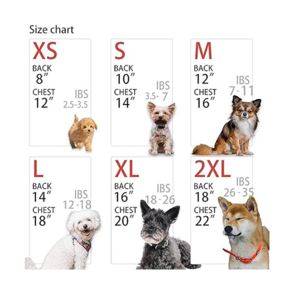 XPUDAC Pijamas de 4 piezas para perros pequeños ropa de