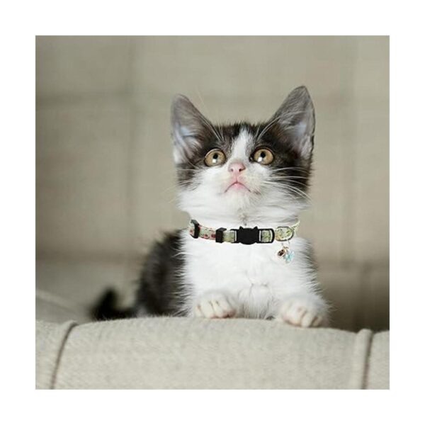 3 collares de gato con campana y accesorios patrón de