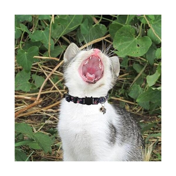 3 collares de gato con campana y accesorios patrón de
