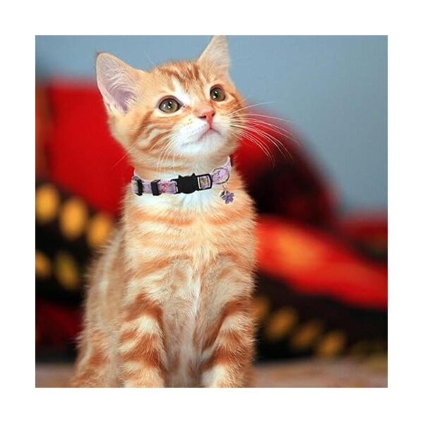 3 collares de gato con campana y accesorios patrón de