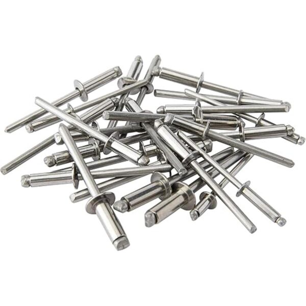 ISPINNER 100 remaches de acero inoxidable de 316 x 12_3