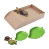 3 platos de comida de tortuga con rampa y plataforma para