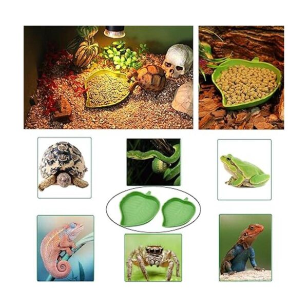 3 platos de comida de tortuga con rampa y plataforma para