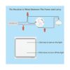 Linptech Kit de interruptor y receptor de luz inalámbrico_2