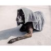Wooflinen Toalla de baño de microfibra para mascotas