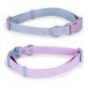 Wolfone Collar impermeable para perro con hebilla de