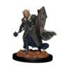 WizKids Dungeons Dragons Icons of The Realms Premium_2